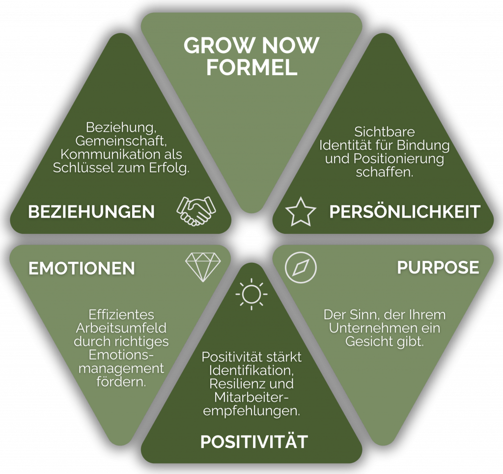 Die Grow Now Formel, bestehend aus den Komponenten Persönlichkeit, Purpose (Sinn), Positivität, Emotionen und Beziehungen, angeordnet in einem Hexagon.