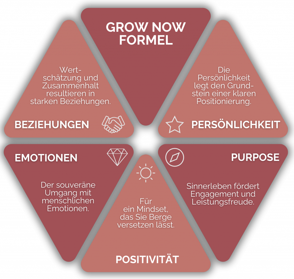 Die Abbildung der Grow Now Formel mit den Indikatoren Persönlichkeit, Purpose, Positivität, Emotionen und Beziehungen.